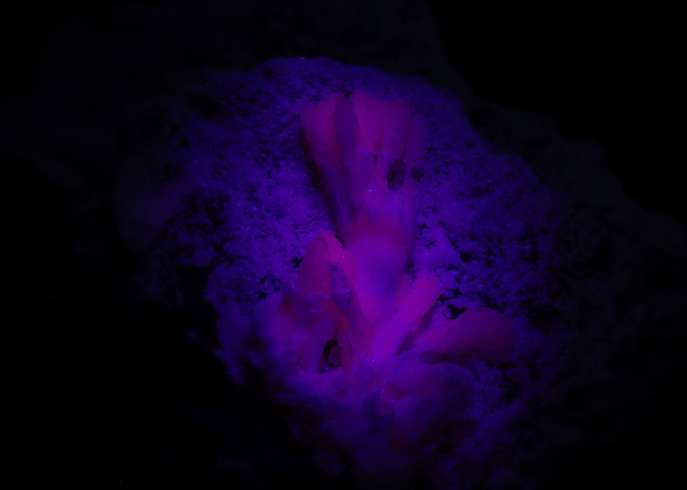 Close-up view of fluorescent Mangano-Calcite mineral specimen from N'Chwaning II, Kalahari Manganese Fields, South Africa