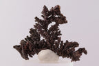 Native Copper