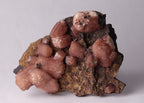 Front view of red-pink Olmiite from N'Chwaning II, Kalahari Manganese Fields, South Africa