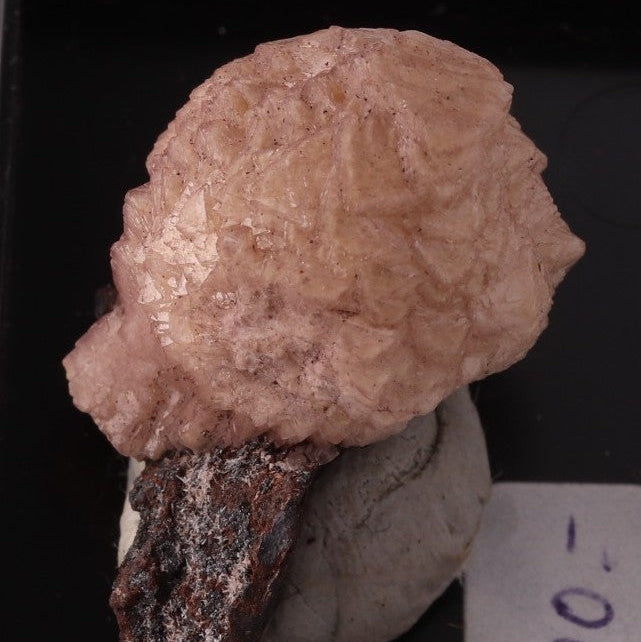 Olmiite Ball