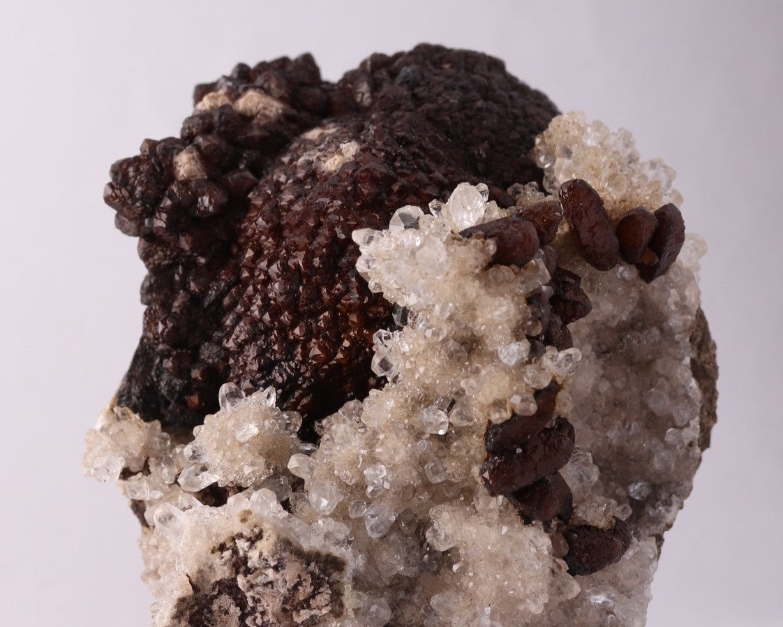 Side view of dark brown Olmiite with Calcite mineral specimen from N'Chwaning, Kalahari Manganese Fields, South Africa