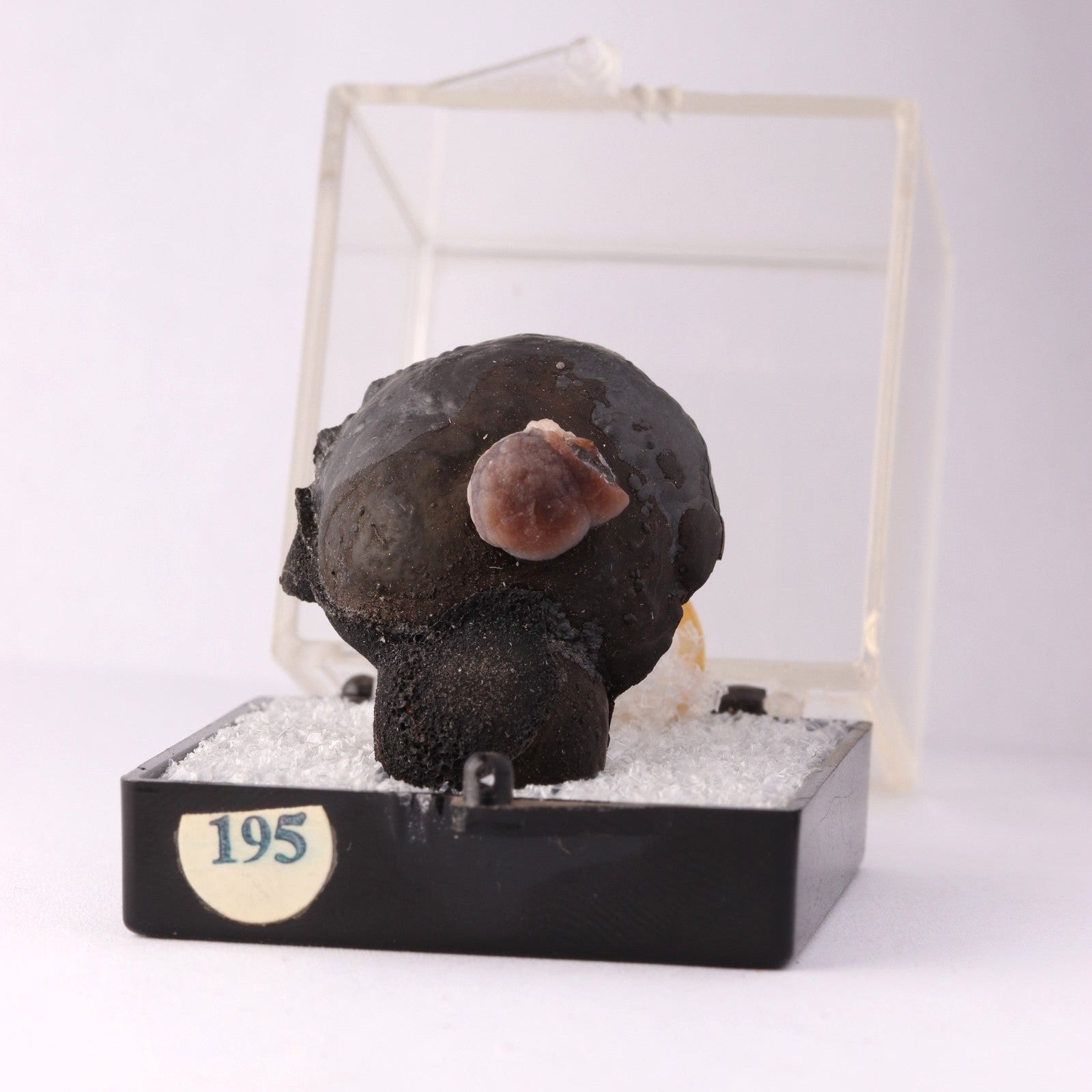Front view of Pyrolusite mineral specimen from N'Chwaning, Kalahari Manganese Fields, South Africa
