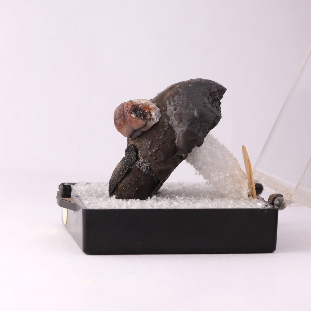 Side view of Pyrolusite mineral specimen from N'Chwaning, Kalahari Manganese Fields, South Africa