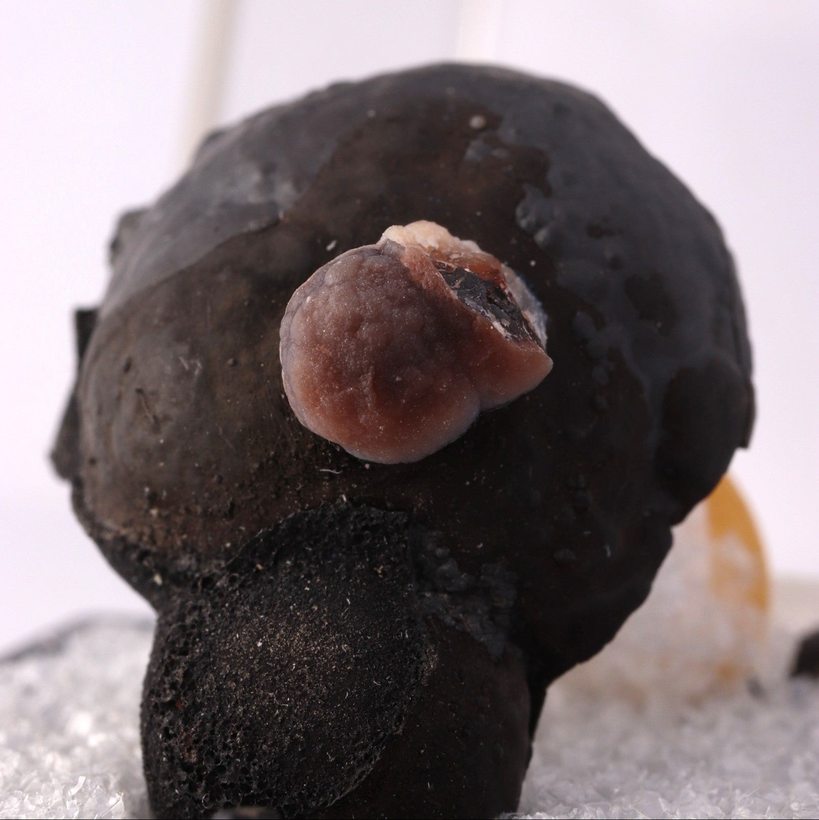Close-up view of Pyrolusite mineral specimen from N'Chwaning, Kalahari Manganese Fields, South Africa