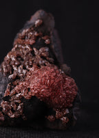 Close-up view of an unusual but aesthetic Rhodochrosite mineral specimen formation from Kalahari Manganese Fields, South Africa