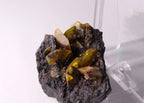 Strumanite crystals on matrix, close-up, side view from KMF (Kalahari Manganese Field), South Africa. 
