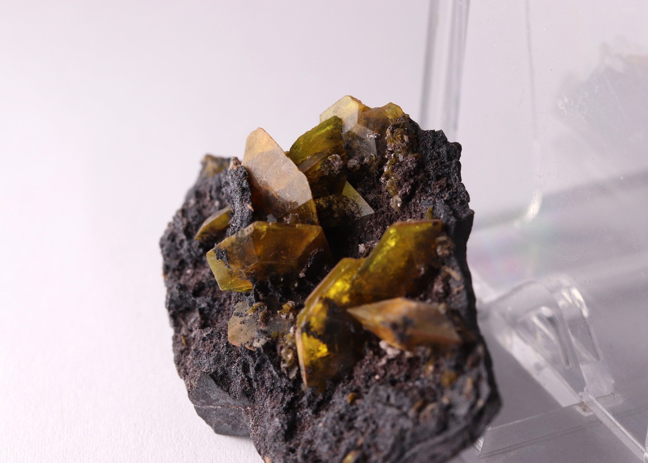 Strumanite crystals on matrix, close-up, side view from KMF (Kalahari Manganese Field), South Africa. 