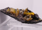 Golden gemmy glowing Sturmanite crystals on matrix from KMF (Kalahari Manganese Field), South Africa.